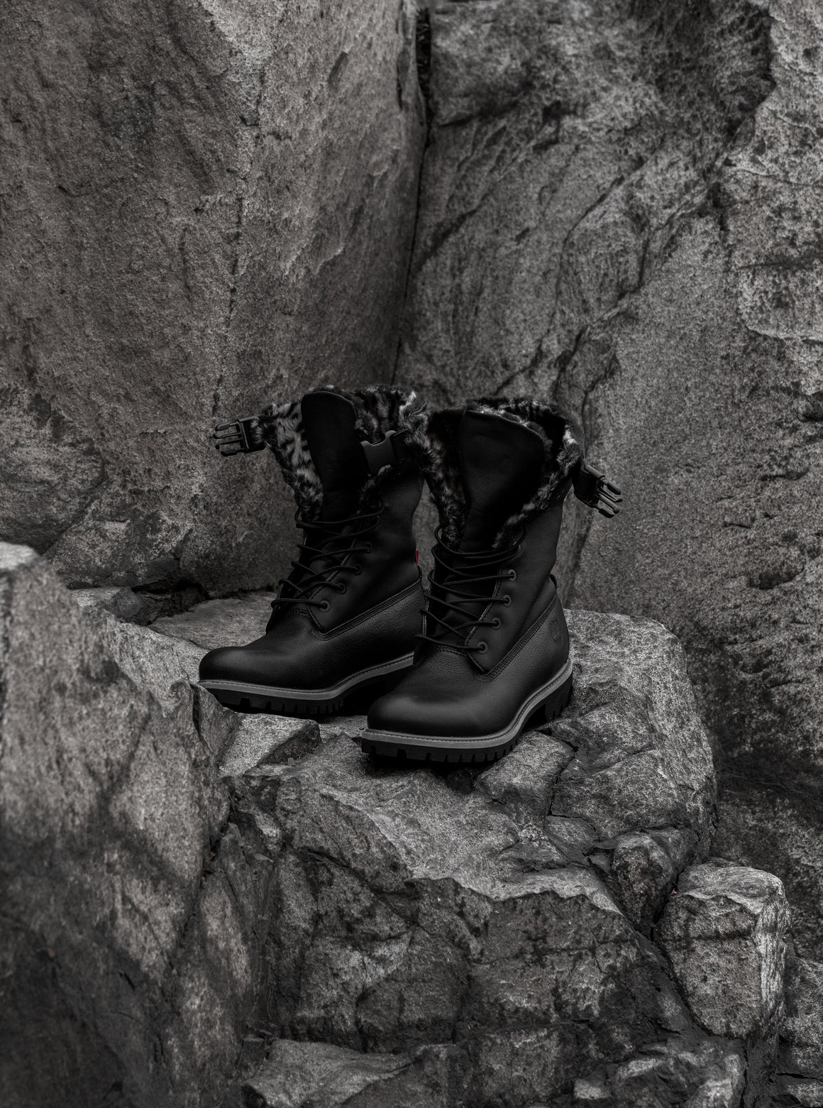 Timberland x shop stampd